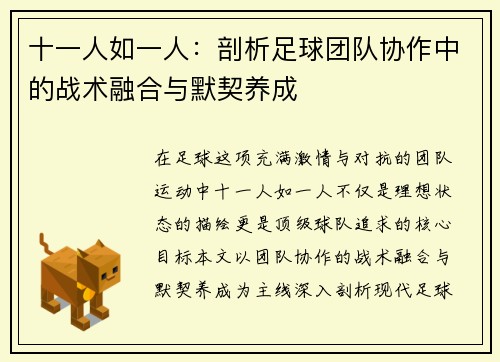 十一人如一人：剖析足球团队协作中的战术融合与默契养成